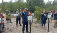 Kelompok Kerja Mangrove Daerah (KKMD) Provinsi Kelulauan Bangka Belitung (Babel) berkolaborasi dengan Keluarga Alumni Universitas