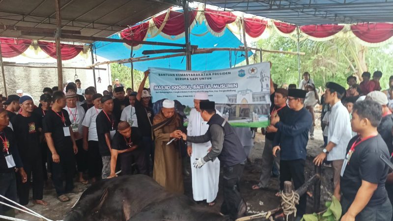 Wali Kota Udin Hadiri Penyembelihan Sapi Kurban Prabowo di Ketapang, Warga Sambut Hangat
