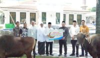 Momen Iduladha 1447 H, BSB distribusikan Hewan Kurban ke Masyarakat Sumsel dan Babel