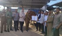 Riza-Debby dan Forkopimda Serahkan Sapi Limousin Seberat 1 Ton Bantuan Prabowo Ke Masjid Al-Badar Desa Paku