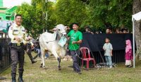 Kepala Daerah Apresiasi PT Timah Konsisten Berbagi Hewan Kurban untuk Masyarakat