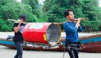 Pulihkan Ekosistem Laut, PT Timah Tebar Ratusan Ribu Anakan Cumi di Bangka