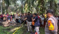 Begini Kronologi Penemuan Mayat Pria asal Garut Terjerat Tali di Kebun Sawit di Bangka Barat