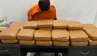 Polda Babel Tangkap Bandar Ganja di Pangkalan Baru, 21,6 Kilogram Disita