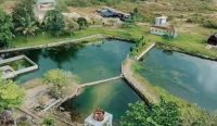 Silaturahmi Hikuk Helawang Sambil Nikmati Sensasi Air Panas Desa Nyelanding