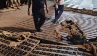 Jembatan MB Dermaga Sadai Amblas, Pelayaran Menuju Belitung Dihentikan Sementara