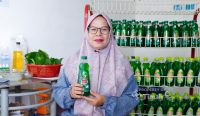 Dari Daun Sirih Menuju Pasar Lebih Luas, 'Bunda Fresh' Naik Kelas Bersama PT Timah