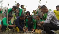 Komitmen Hijau PT Timah: Menyulap Lahan Bekas Tambang Jadi Oase Kelestarian