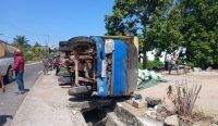 Gagal Menanjak di Namang, Truk Dyna Pengangkut 10 Ton Beras Mundur Hantam Penjual Jamu 
