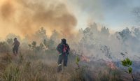 Si Jago Merah Lalap 5 Hektar Lahan di Temberan, Polda dan Damkar Babel Berjibaku 4 Jam Padamkan Api