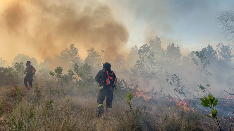 Si Jago Merah Lalap 5 Hektar Lahan di Temberan, Polda dan Damkar Babel Berjibaku 4 Jam Padamkan Api
