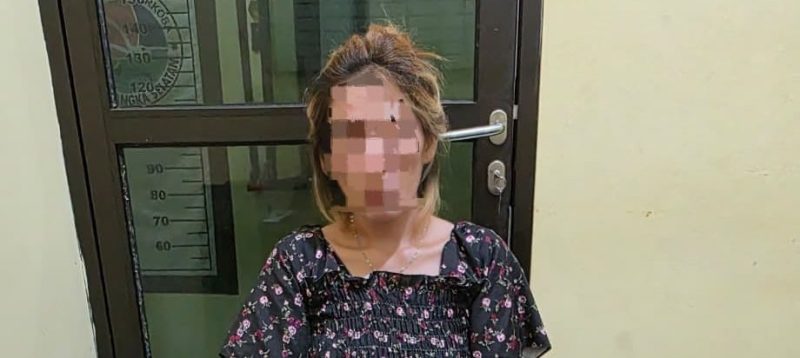 Ibu Rumah Tangga di Desa Rajik Nyambi Jadi Pengedar, Polisi Sita 10 Paket Sabu
