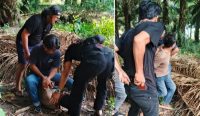 Pelaku penikaman diringkus Tim Buser Macan Selatan di Dusun Sungai Gusung, Desa Rias, Toboali. (Foto istimewa)