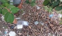 Kotak Permen Isi Sabu, Tim Hiu Gulung Pengedar Narkotika di Pesisir Mentok