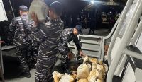 TNI AL Bongkar Praktik Tambang Ilegal di Perairan Pekajang Lingga: 1,6 Ton Timah Diamankan 