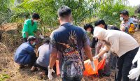 Mayat Wanita Tanpa Identitas Ditemukan Membusuk Kebun Sawit Desa Kace