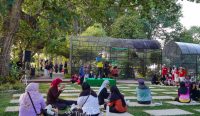 Lebih Segar dan Edukatif! Revitalisasi Taman Timah Bukit Baru Jadi Oase Rekreasi Keluarga