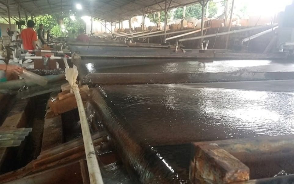 Temuan BRIN: Aktivitas Meja Goyang Timah di Beltim Berpotensi Risiko Kanker