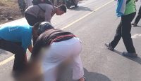Tabrakan Dua Motor di Jalan Raya Petaling Bangka, 1 Orang Meninggal di Tempat