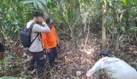 Geger, Warga Tumbak Petar Temukan Benda Diduga Tengkorak Manusia