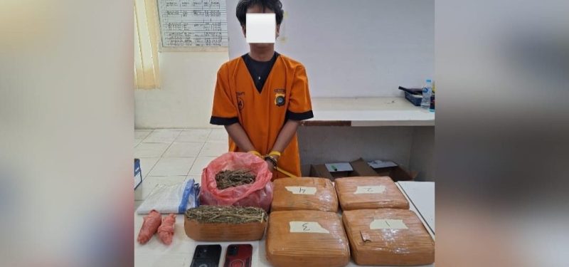 Bongkar 3 TKP, Satresnarkoba Polresta Pangkalpinang Ringkus Pengedar 4,8 Kg Ganja