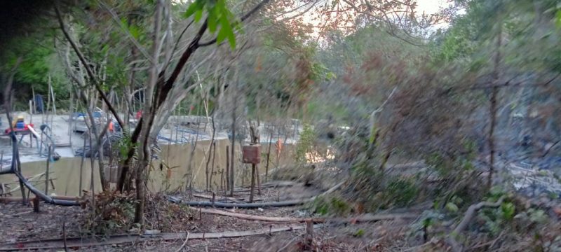 Warga Belitung Keluhkan Harga Timah Turun tapi Kawasan Lindung di Desa Gantung Terus Digerus