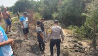 Detik-Detik Mencekam Remaja Kelapa Diseret Buaya, Selamat Berkat Aksi Cepat Temannya