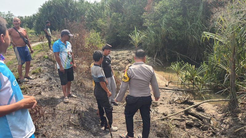 Detik-Detik Mencekam Remaja Kelapa Diseret Buaya, Selamat Berkat Aksi Cepat Temannya