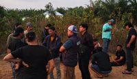 Polisi Ungkap Motif dan Kronologi Pembunuhan Wanita di Kebun Sawit Desa Kace