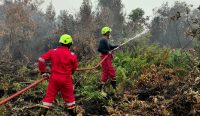 Aksi Cepat PT Timah dan Grup MIND ID: Kerahkan Tim Fire Fighter Taklukkan Karhutla Kalbar