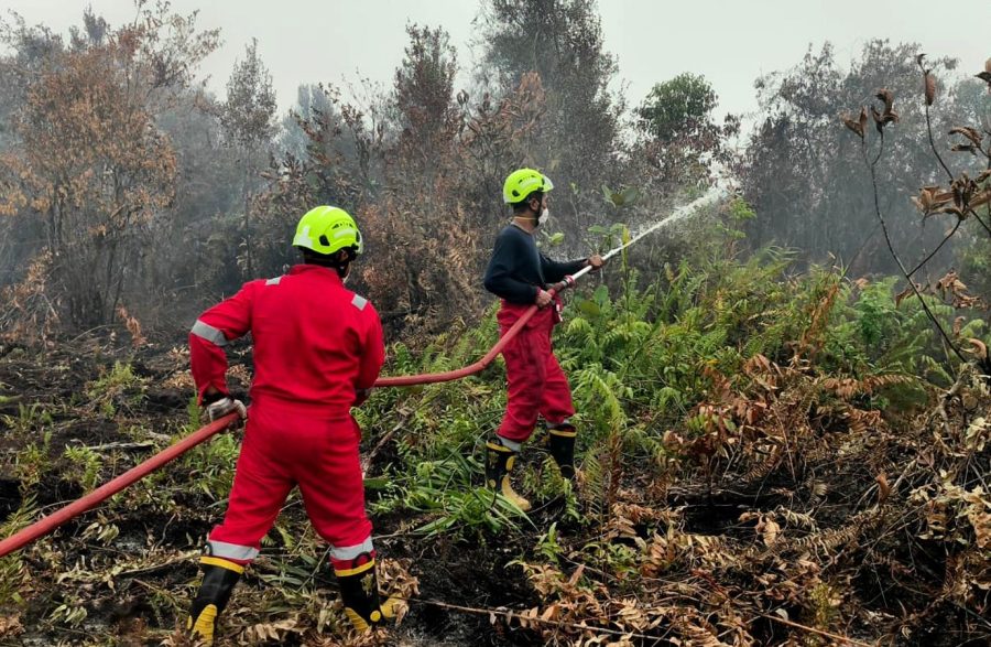 Aksi Cepat PT Timah dan Grup MIND ID: Kerahkan Tim Fire Fighter Taklukkan Karhutla Kalbar