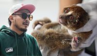 Kepungan Karhutla Ancam Satwa Endemik, PT Timah dan Alobi Perketat Evakuasi
