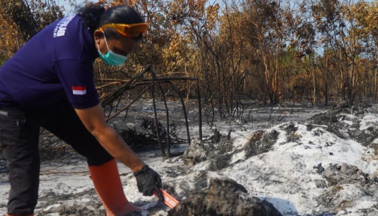 Karhutla di Selindung Hanguskan 27 Hektare Lahan, Polisi Lakukan Penyelidikan