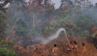 Karhutla Melanda 20 Hektare Lahan di Tanjung Pura, Polres Bateng Bergerak Cepat