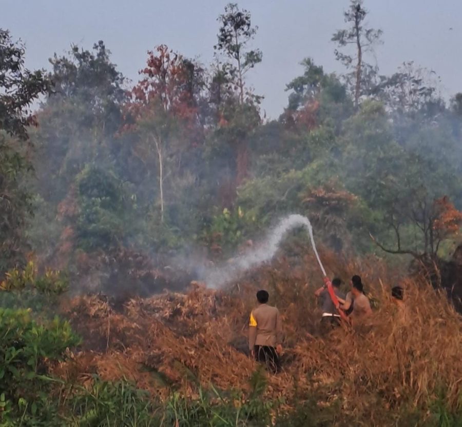 Karhutla Melanda 20 Hektare Lahan di Tanjung Pura, Polres Bateng Bergerak Cepat