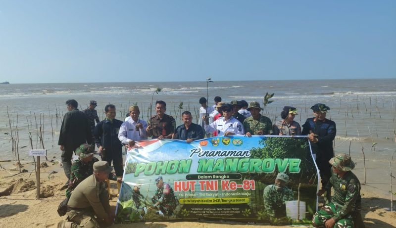 Peringati HUT ke-81 TNI, Kodim 0431/Babar Tanam Pohon di Pesisir Teluk Rubiah