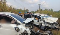 Brak! HRV dan Nissan Livina Adu Kambing di Desa Jeriji