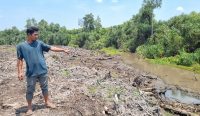 Hutan Sungai Buton Diduga Dibabat Pabrik Sawit, Tokoh Masyarakat Adukan ke Bupati Babar
