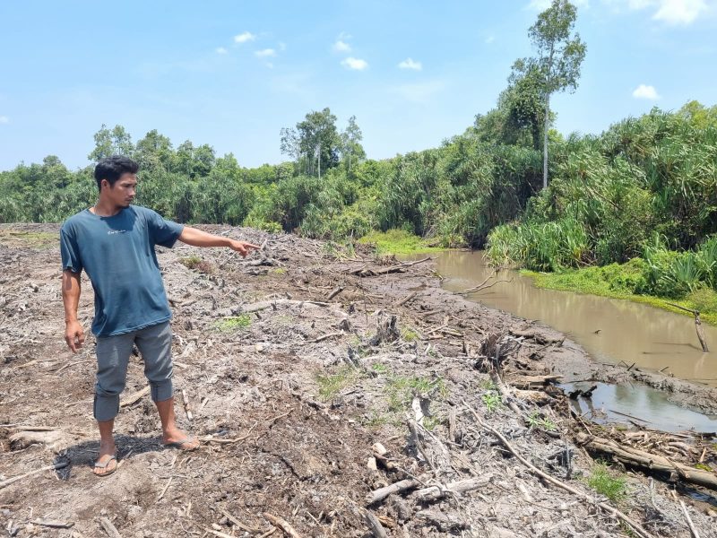 Hutan Sungai Buton Diduga Dibabat Pabrik Sawit, Tokoh Masyarakat Adukan ke Bupati Babar