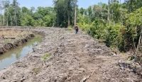 Ini Kata Bupati Babar terkait Pembangunan Pabrik Sawit Diduga Babat Hutan DAS Buton di Tumbak