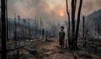 Pilu Rimba Berjubah Jelaga