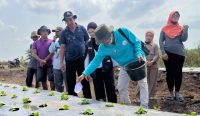 Kurangi Kimia, IPB University Dorong Petani Batu Betumpang Pakai Pupuk Organik