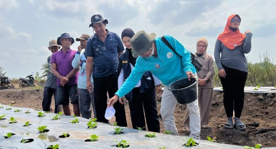 Kurangi Kimia, IPB University Dorong Petani Batu Betumpang Pakai Pupuk Organik