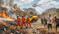 Perintah Mitigasi: Langkah Utama dan Pertama Kebakaran