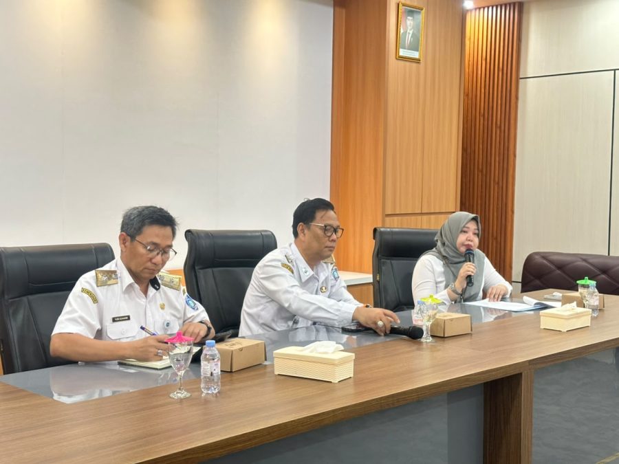 Audit 52 Sekolah di Babel, BPK Catat Temuan Pengelolaan Dana BOS pada 4 Aspek Kinerja