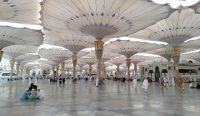 Menjejak Kota Nabi: Kelana Suci Memeluk Rindu di Masjid Nabawi
