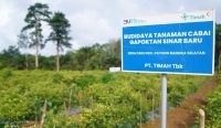 Dari Ibu Rumah Tangga Jadi Produktif: Cara PT Timah Bangkitkan Kemandirian Ekonomi Masyarakat