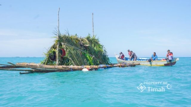 Menjaga Laut Babel: Langkah PT Timah Rehabilitasi Ekosistem Pesisir dan Tingkatkan Ekonomi Nelayan
