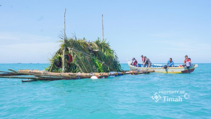 Menjaga Laut Babel: Langkah PT Timah Rehabilitasi Ekosistem Pesisir dan Tingkatkan Ekonomi Nelayan