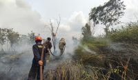 5 Petugas BPBD Beltim Dilarikan ke Puskesmas usai Terpapar Asap Pekat Karhutla